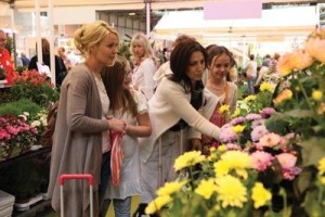 Shopping for plants at BBC Gardeners' World Live