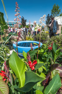 Show visitors enjoying The Teacup Garden